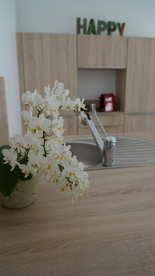 Les Palmiers - Vacation Home Saint-Xandre 외부 사진
